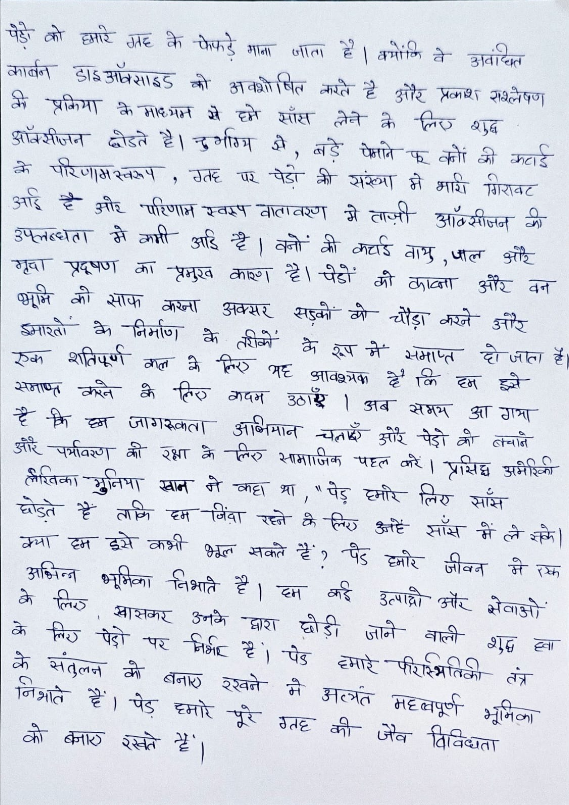 Handwritten Hindi document